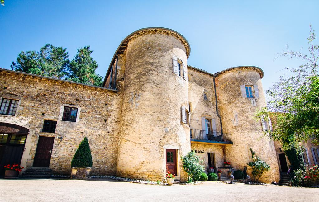 Château D'igé Esterno foto